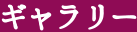 ギャラリー